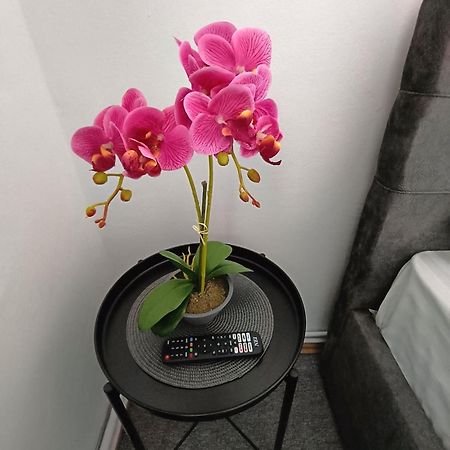 Chic Boutique Dumbrava Appartement Sibiu Buitenkant foto